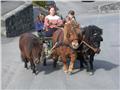 Cannelle, Aurore & Ulyse Val d'Illiez